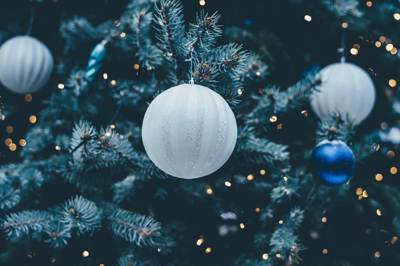 The 8 Best Christmas Activities in DFW